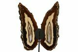 Agate Butterfly Wings - Brazil #322228-1